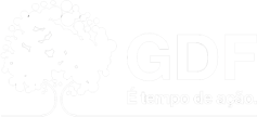 Governo do Distrito Federal